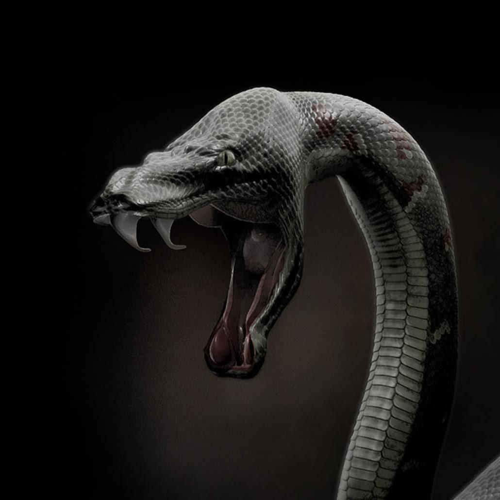 Black-Monster-Snake-3D-Wallpaper-HDjpg