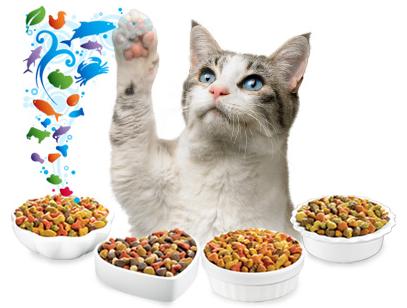 10680611-the-best-cat-food-for-senior-cats
